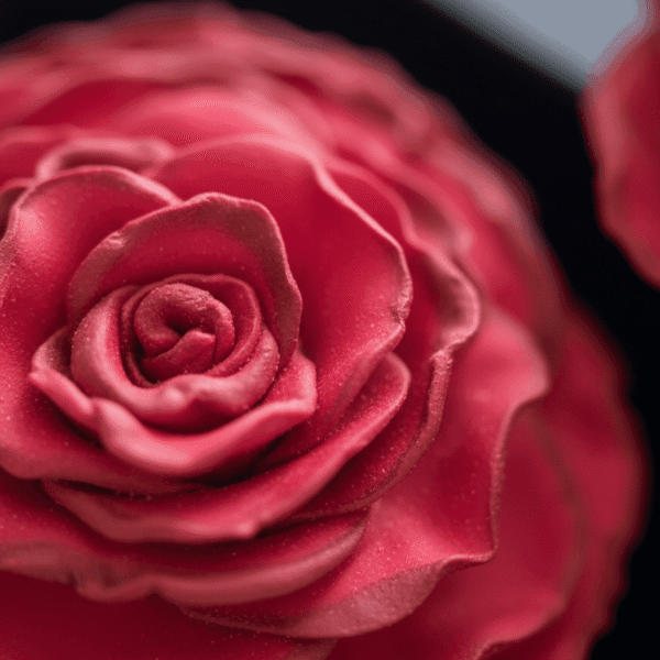Pendientes Rosa Carmesí - Imagen 6