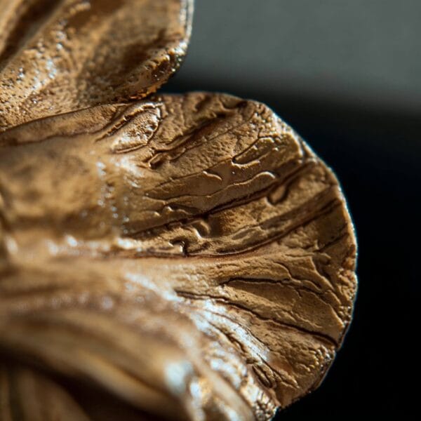 Modelo Aurelia - Imagen 6