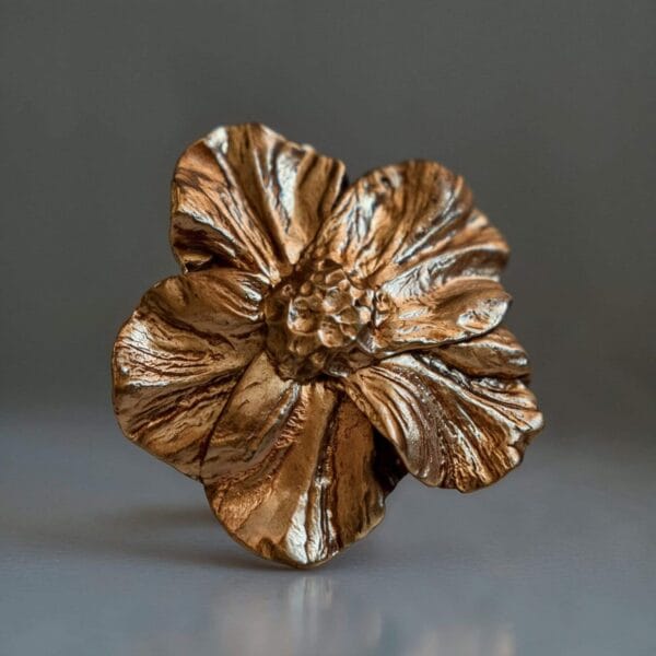 Modelo Aurelia - Imagen 5