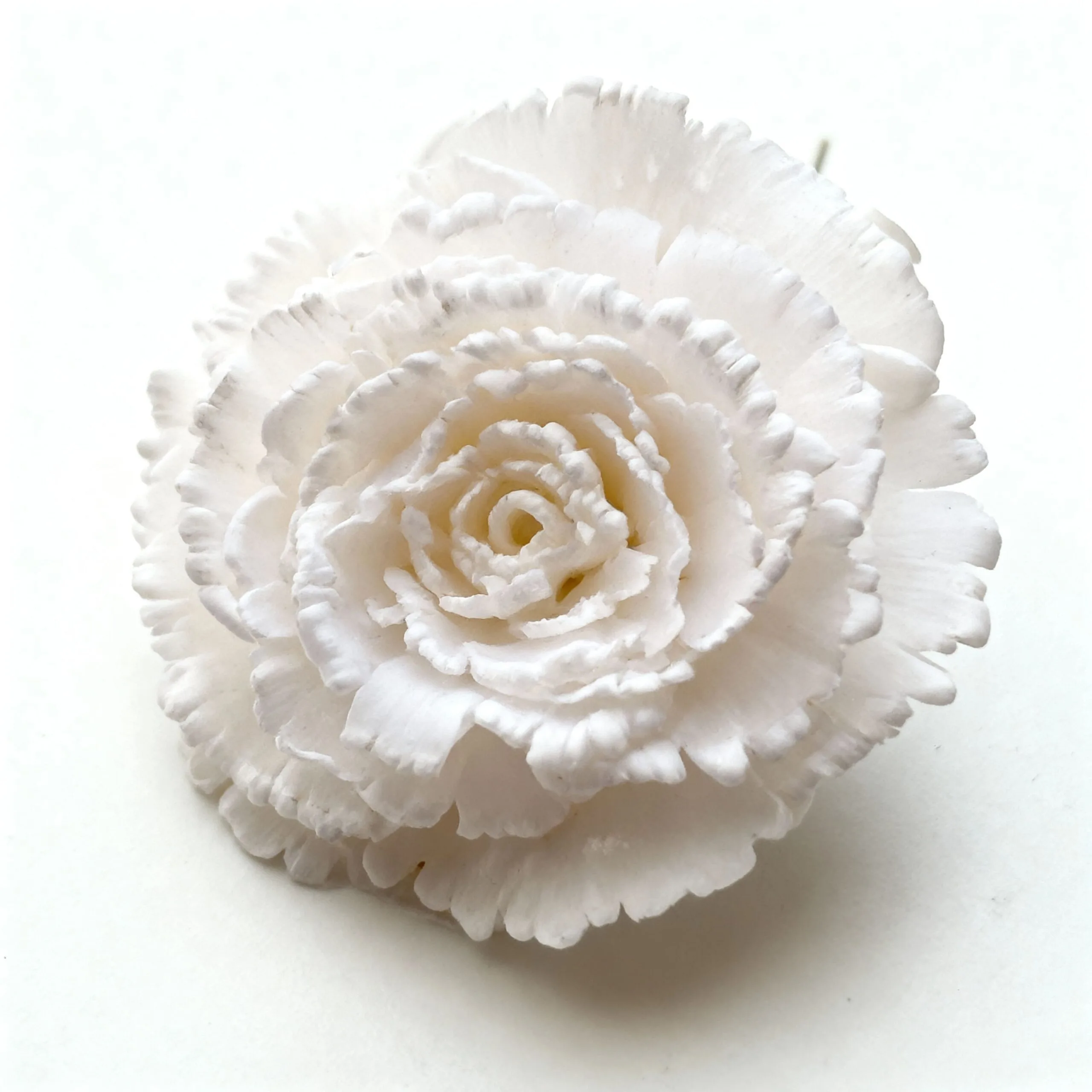 Pendientes Clavel Blanco 4,5 cm - Imagen 5